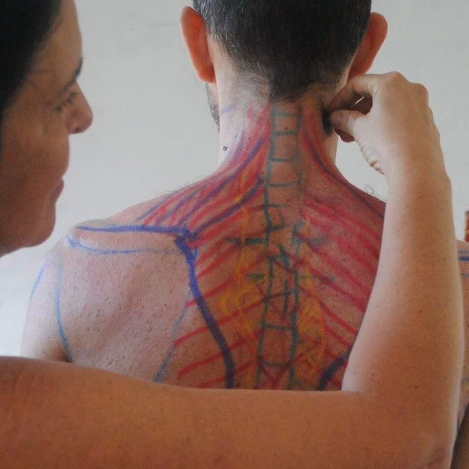 meio auxiliar de equilibrio da tensegridade 1